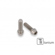 CNC Racing Titanium Swing Arm Pinch Bolt Kit for the Ducati Panigale / Streetfighter V4